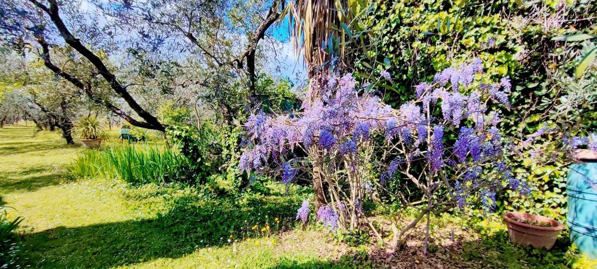 La Casa Dei Nonni Vila Larciano Exterior foto