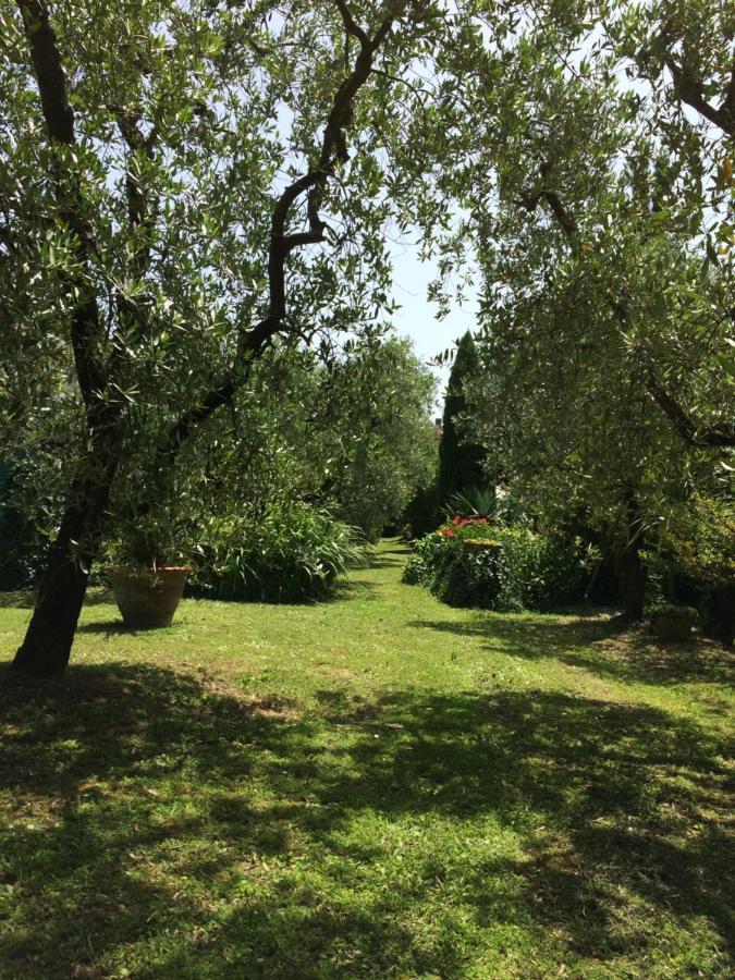 La Casa Dei Nonni Vila Larciano Exterior foto